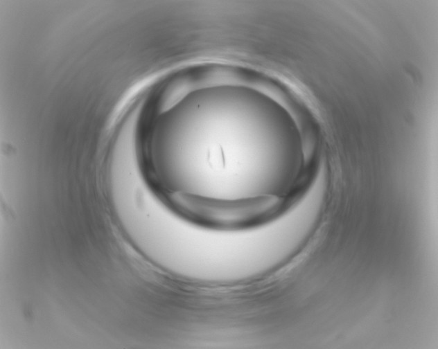 X0000090951224200708021330