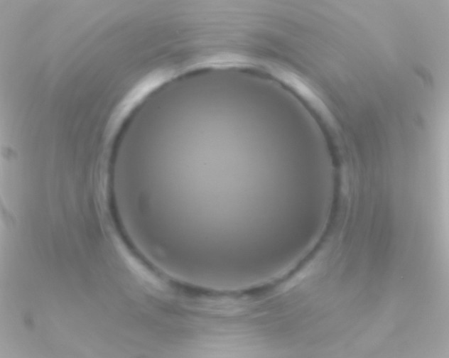 X0000090951229200708021330