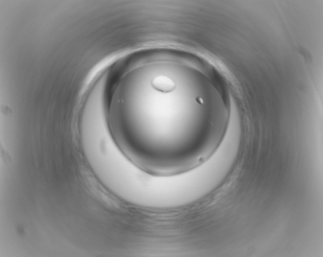 X0000090951230200708021330
