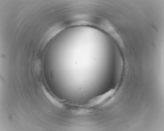 X0000090951233200708021330