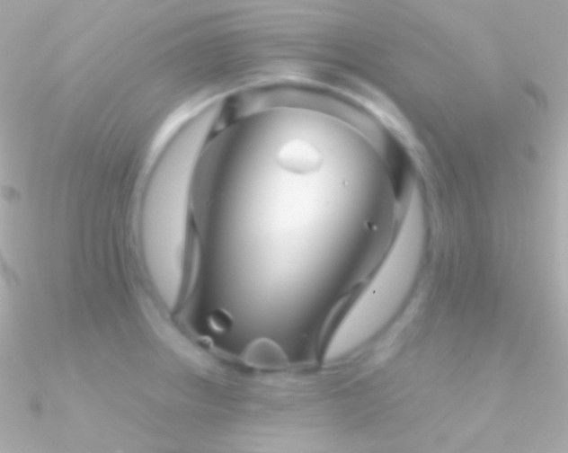 X0000090951234200708021330