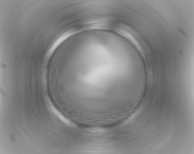 X0000090951235200708021330
