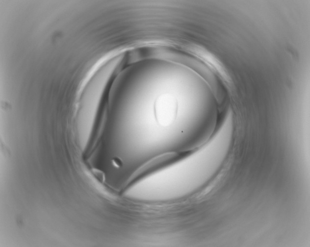 X0000090951236200708021330