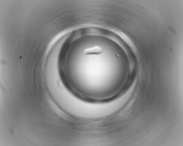 X0000090951238200708021330