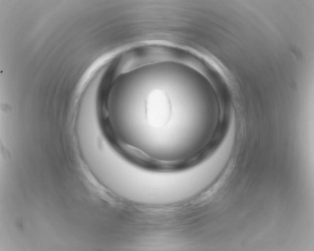 X0000090951240200708021330