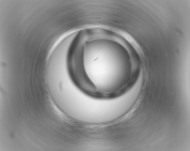 X0000090951244200708021330