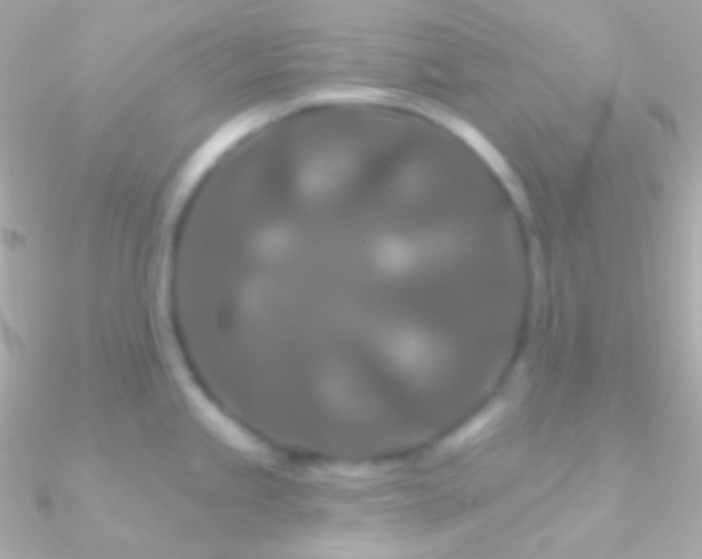 X0000090951245200708021330
