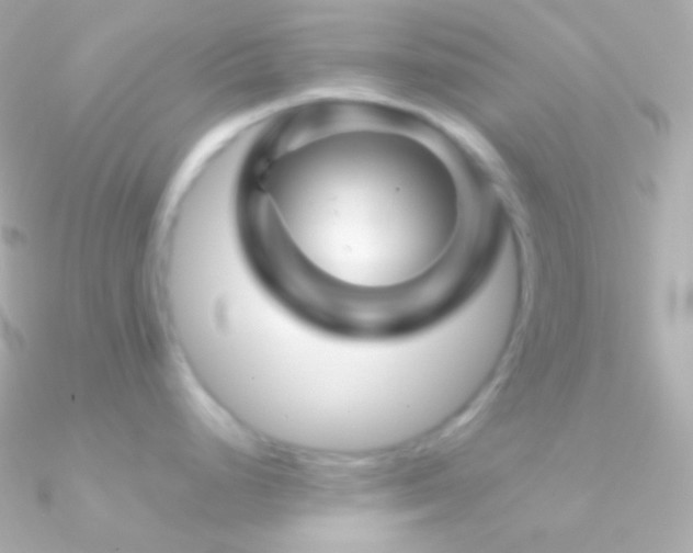 X0000090951248200708021330