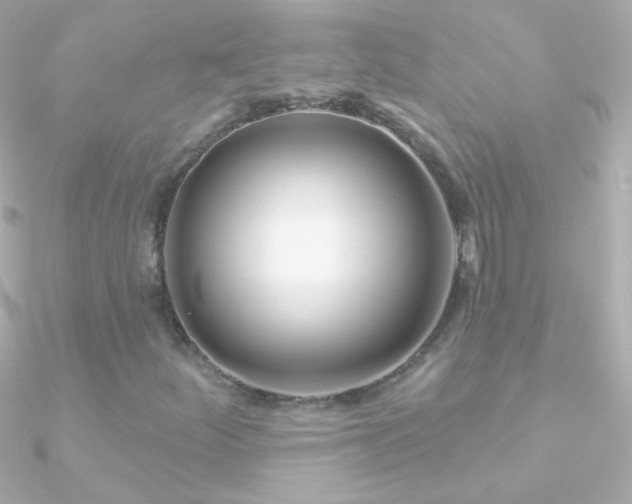 X0000090951252200708021330