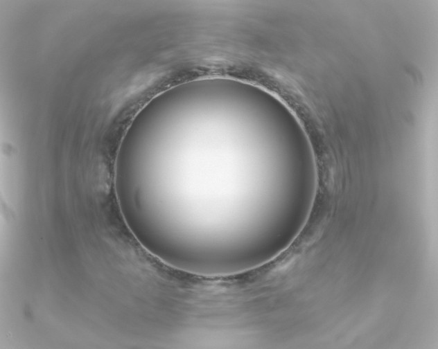 X0000090951253200708021330