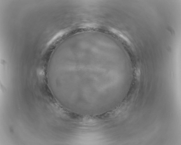 X0000090951254200708021330