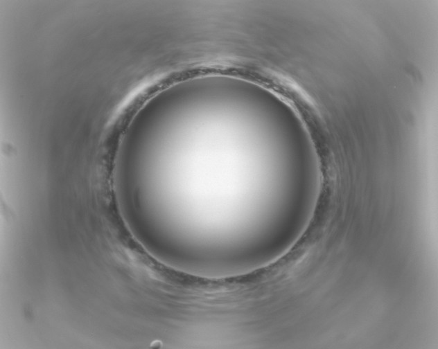 X0000090951256200708021330