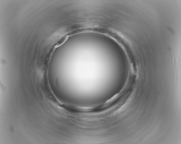 X0000090951257200708021330