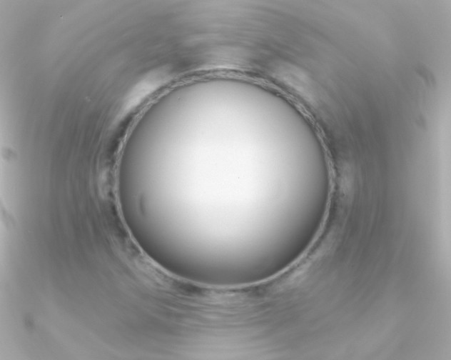 X0000090951258200708021330