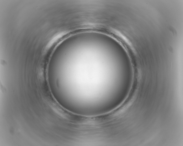 X0000090951259200708021330