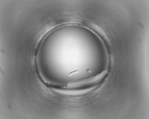 X0000090951260200708021330