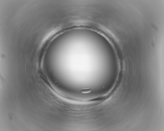 X0000090951261200708021330
