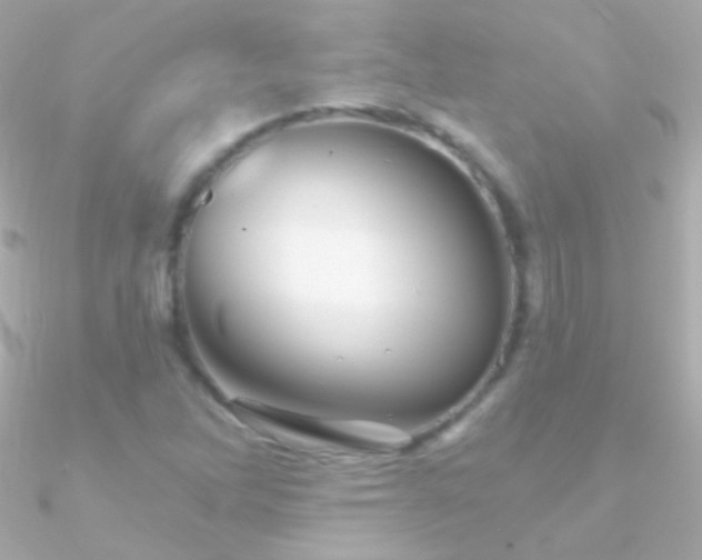X0000090951262200708021330