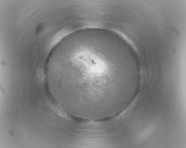 X0000090951266200708021330