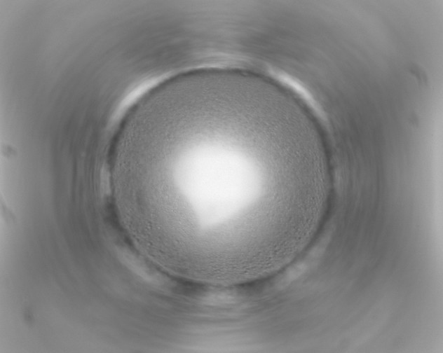 X0000090951267200708021329