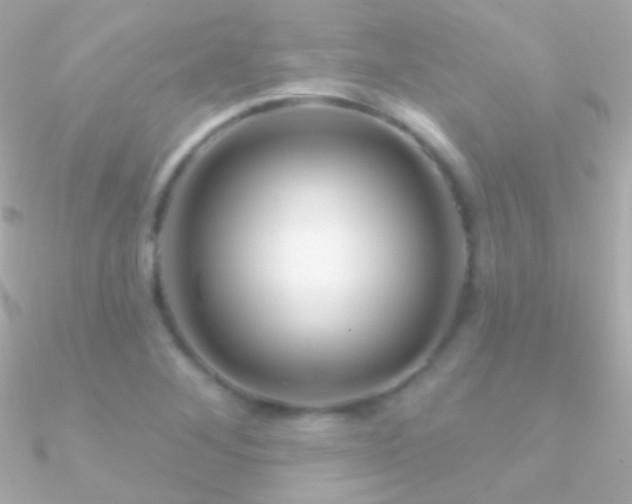 X0000090951268200708021329
