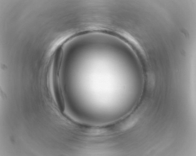X0000090951269200708021329