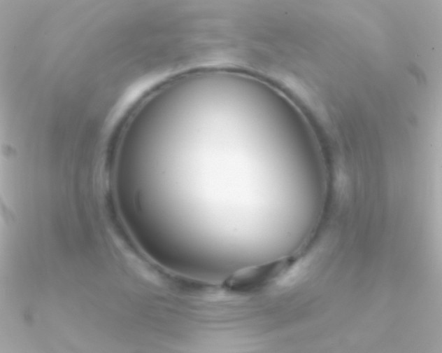 X0000090951270200708021329