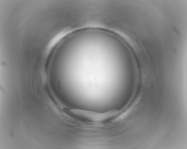X0000090951271200708021329