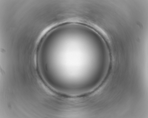 X0000090951272200708021329
