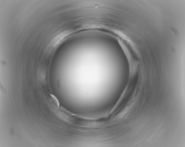 X0000090951273200708021329