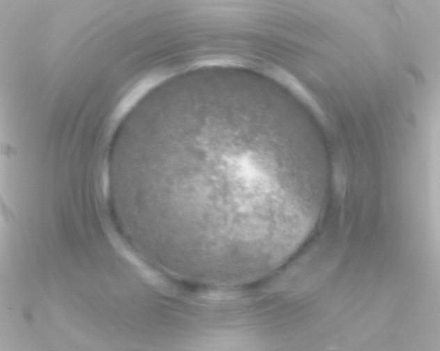 X0000090951274200708021329