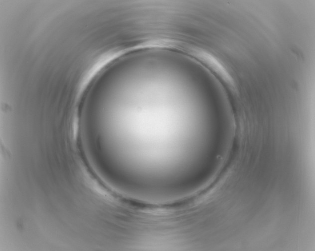 X0000090951276200708021329