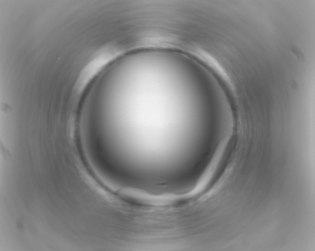 X0000090951277200708021329