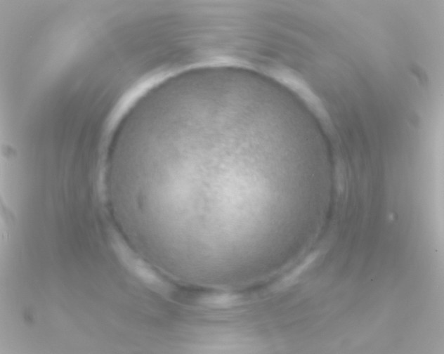 X0000090951278200708021329