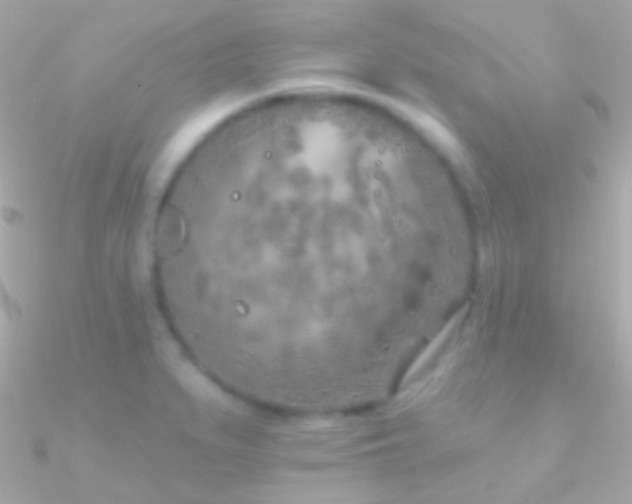 X0000090951279200708021329