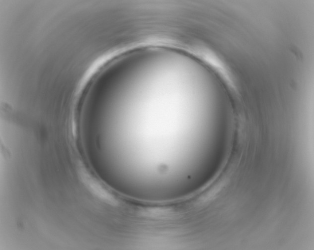 X0000090951280200708021329