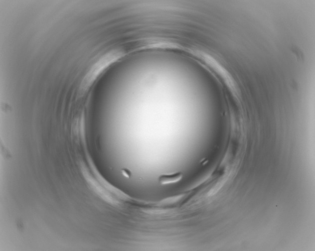 X0000090951281200708021329