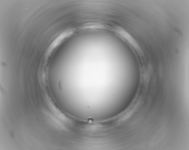 X0000090951282200708021329