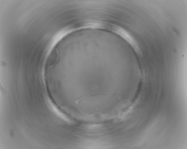 X0000090951283200708021329