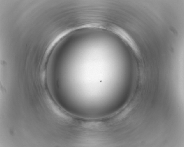 X0000090951284200708021329