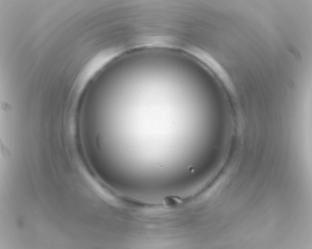 X0000090951285200708021329