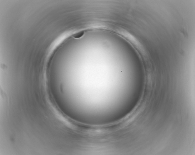 X0000090951286200708021329
