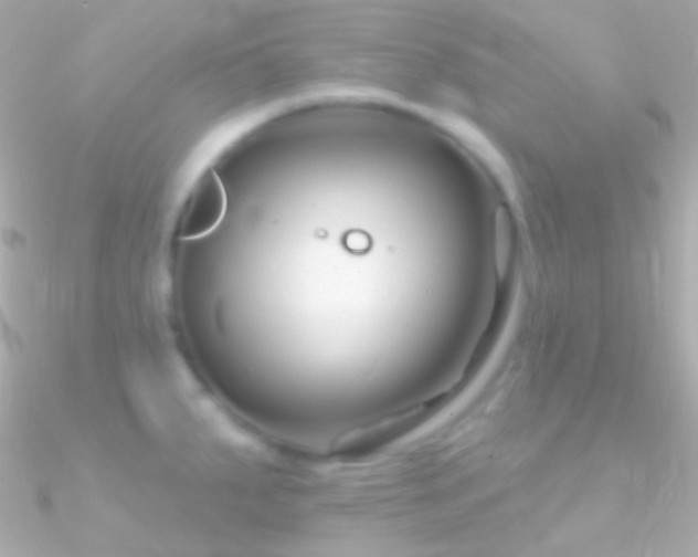 X0000090951287200708021329