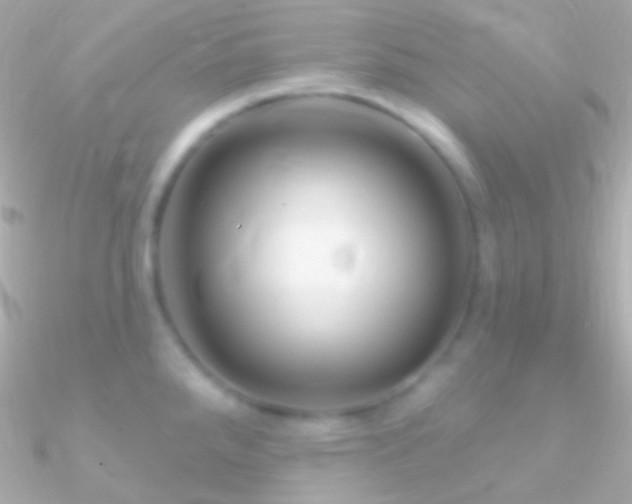 X0000090951288200708021329