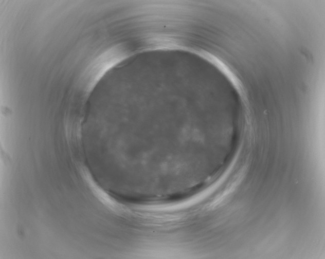 X0000090951289200708021329