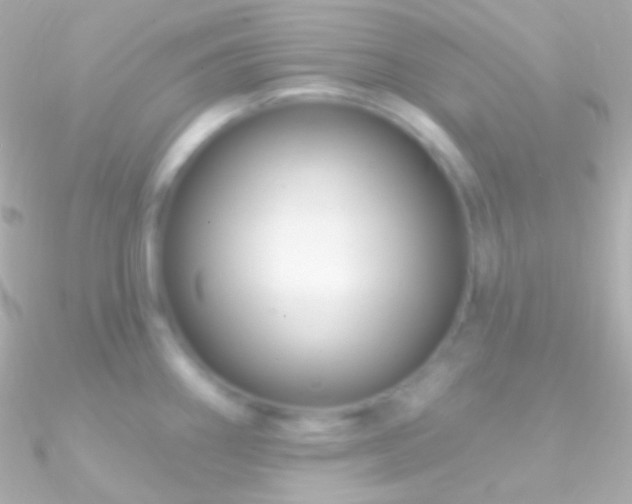 X0000090951290200708021329
