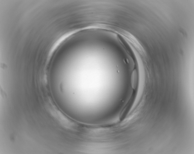 X0000090951292200708021329