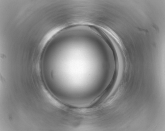 X0000090951293200708021329