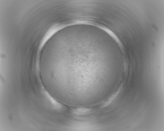 X0000090951294200708021329