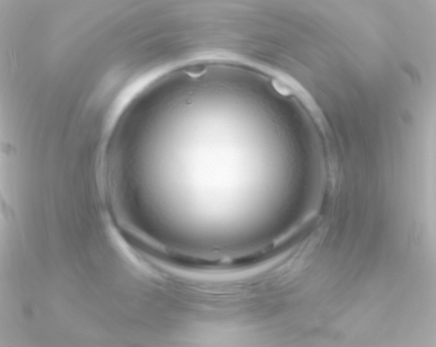 X0000090951295200708021329